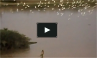 Les gens du fleuve : Sénégal, Mali, Mauritanie, du 28/10/12 (Reportage TV) 
