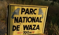 Le Nord-Cameroun et la menace islamiste nigériane 