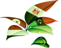 Elections : Pas de « printemps » électoral en Mauritanie