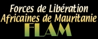 Les FLAM décident de rentrer en Mauritanie et de créer un parti politique 